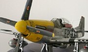 North American P-51D Mustang 1:24