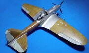 Ilyushin Il-2 Stormovik 1:48