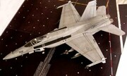 McDonnell Douglas F/A-18C Hornet 1:48