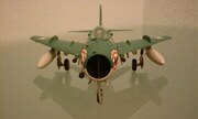 Shenyang F-6 1:72