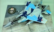 Mitsubishi F-15DJ Aggressor 1:48