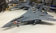 Grumman F-14A Tomcat 1:72