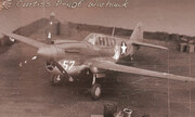 Curtiss P-40E Warhawk 1:72