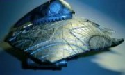 Captured Alien Attacker 1:72