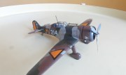 Fokker D.XXI 1:72