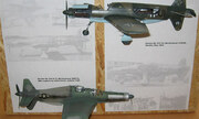 Dornier Do 335 1:48