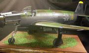 Dornier Do 335 A 1:32