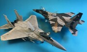 F-15C and F-15DJ 1:72