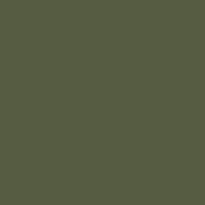 Boxart Vert (RLM62) 71104 Prince August Air