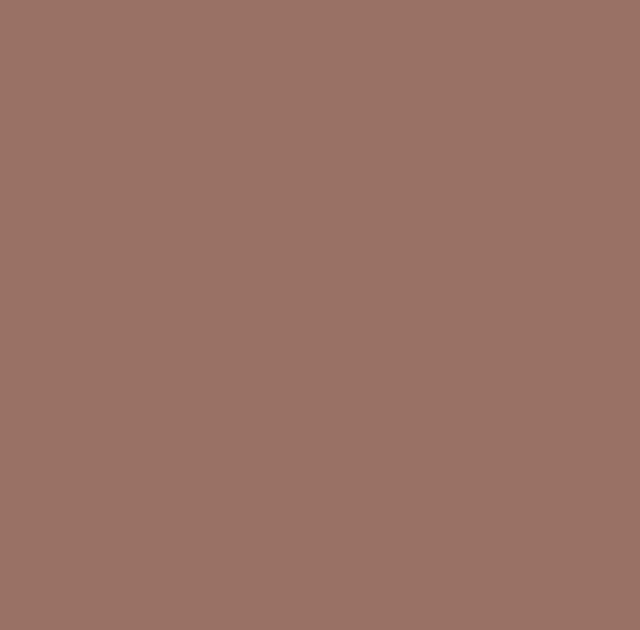 Boxart Solid Colours - AUSCAM Pilbara Brown  Outlaw Paints