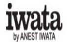 Iwata Logo
