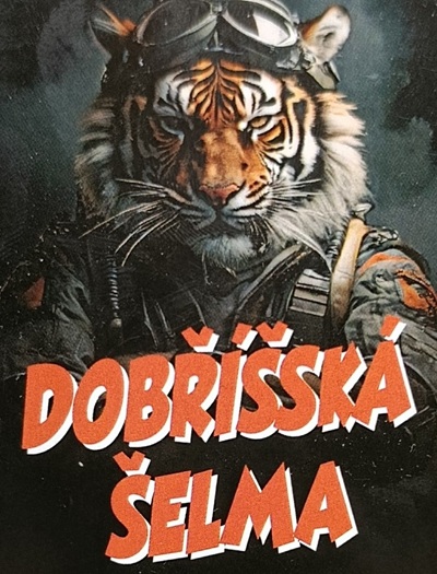 Modeláři Dobříš