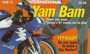(Tamiya Model Magazine 73)