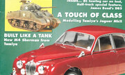 (Tamiya Model Magazine 49)