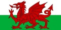 Red Dragon Modellers / Modelwyr y Ddraig Goch