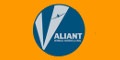 Valiant Wings
